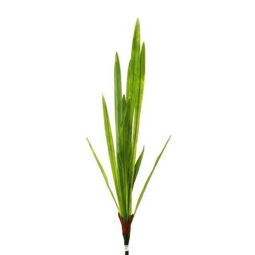 Orchid Leaves / GF20028