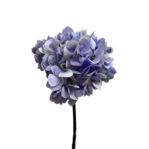 Hydrangea GF2569-lil