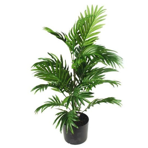 Palm Tree GF30011-3