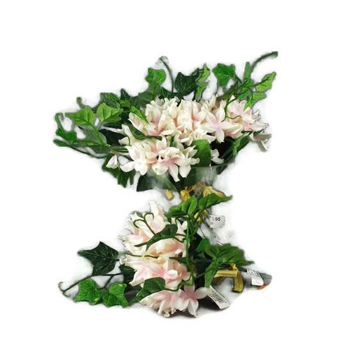 Stephanotis Bunch GF60102