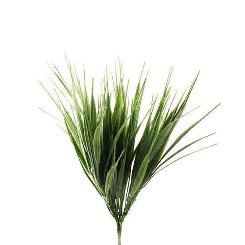 MONDO GRASS/GF60233-GR