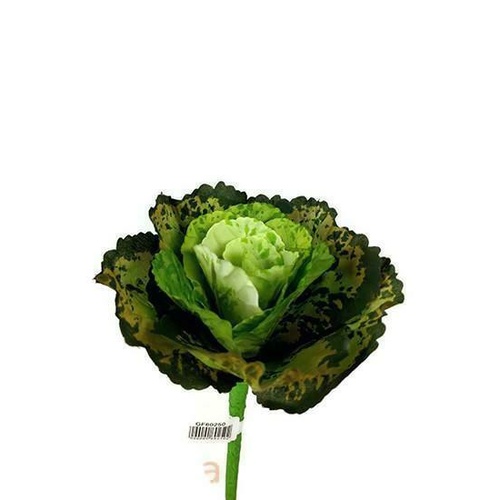Kale Rose GF60250-GR