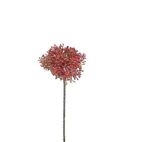 Elderberry Spray GF60426-PNK
