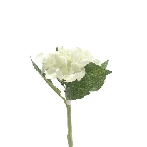 Mini Hydrangea GF60428
