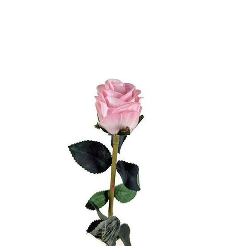 Mini Rose in Pink GF60615-PNK