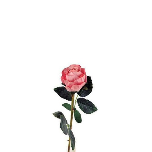 Mini Rose in Coral GF60615-Crl