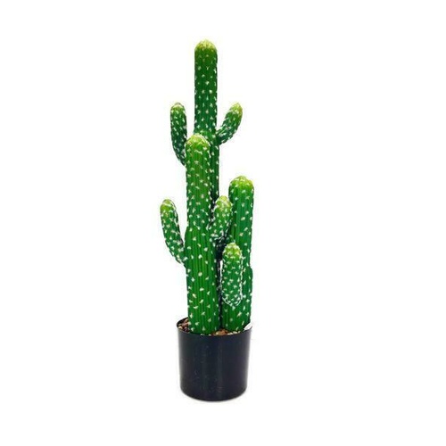 Cactus Pot GF60756