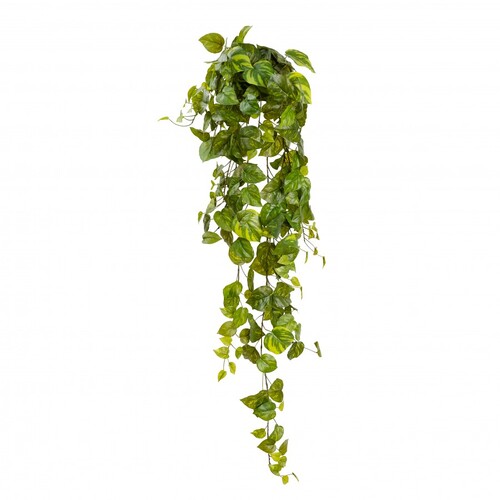 POTHOS HANGING BUSH GF60821-130