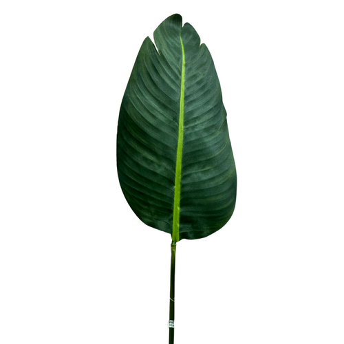 Travellers Palm Leaf GF60870