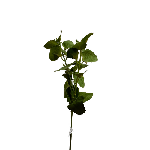 Mint Leaf Spray GF70319