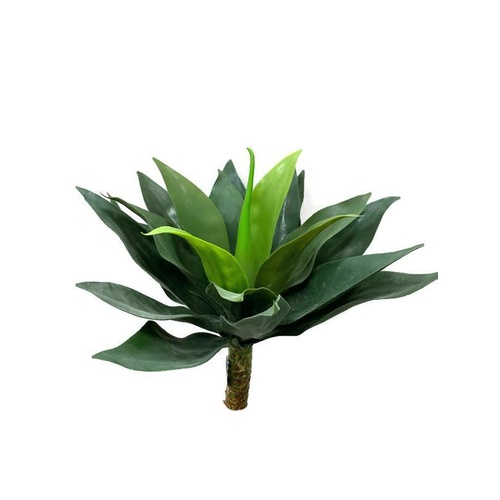 Medium Agave Bush GF80019M