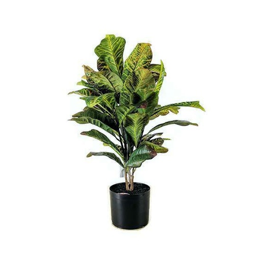 Real Touch Croton Tree GF80049-2.5