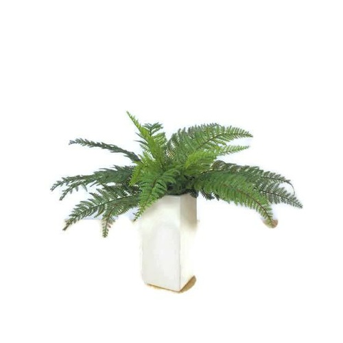Leather Fern Bush GF81007