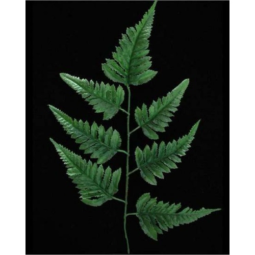 Leather FErn Spray GL12530