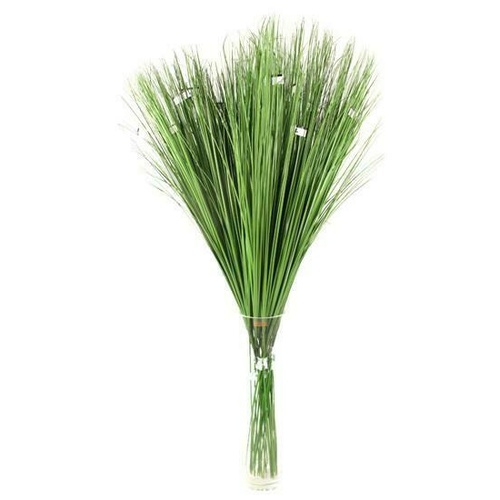 Spear Grass / GL12544_Green