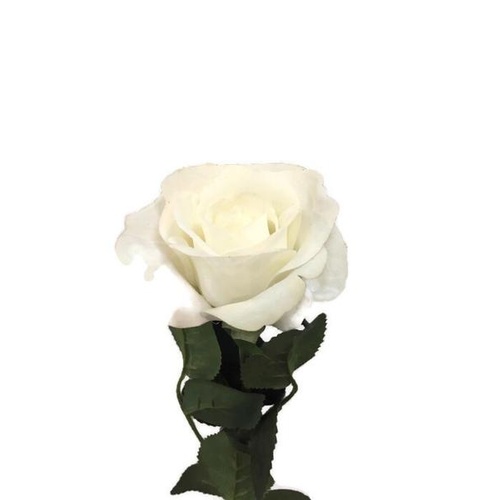Rose Real Touch 1/2 Bloom-White GL12711