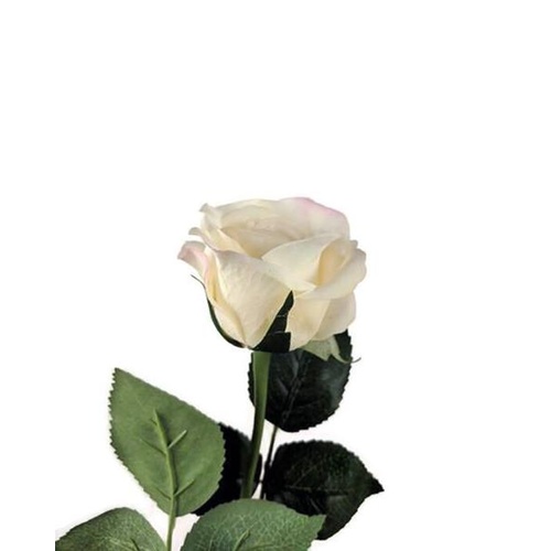 Pale Peach Real Touch Rose Open Bloom GL12730