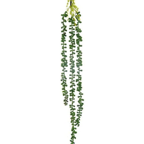 Hanging Sedum GF60506/GR126GRN