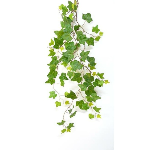 Ivy Spray GR134S