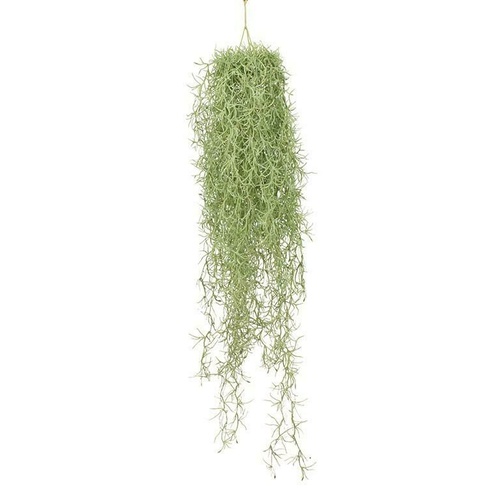 Spanish Moss Garland GR146W-GRN