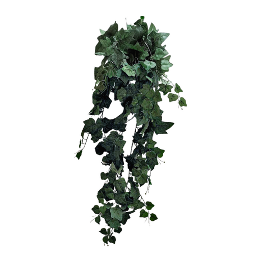 Ivy Hanging Bush GR244D-GRN