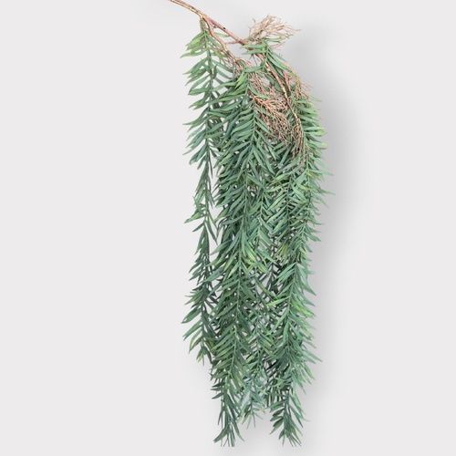 Taxus Leaf Hanging Bush GR434GRN