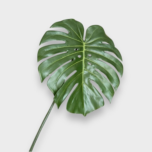 Monstera Leaf GS057GN