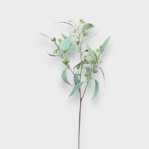 Eucalyptus Seeding Spray GS107GYGN