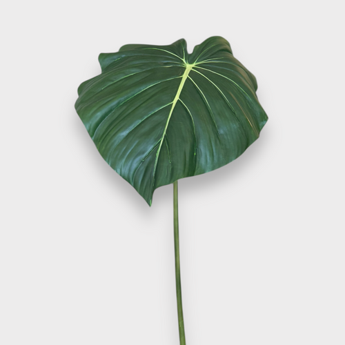 Philodendron Leaf Stem GS133GN