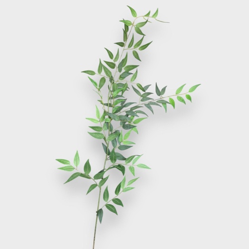 Ruscus Italian Leaf Spray GS164GN