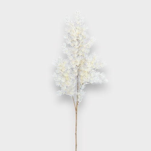 Asparagus Leaf Spray GS178WH