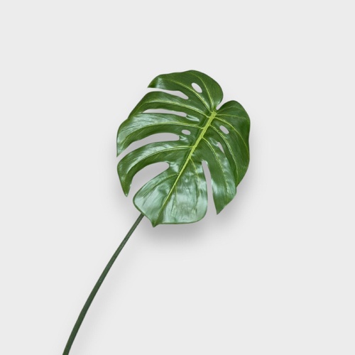 Monstera Leaf GS189GN