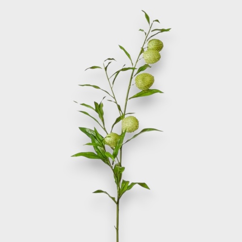 Milk Weed Leaf Stem GS215GN