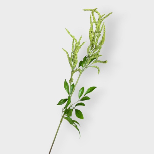 Astilbe Spray GS275GN