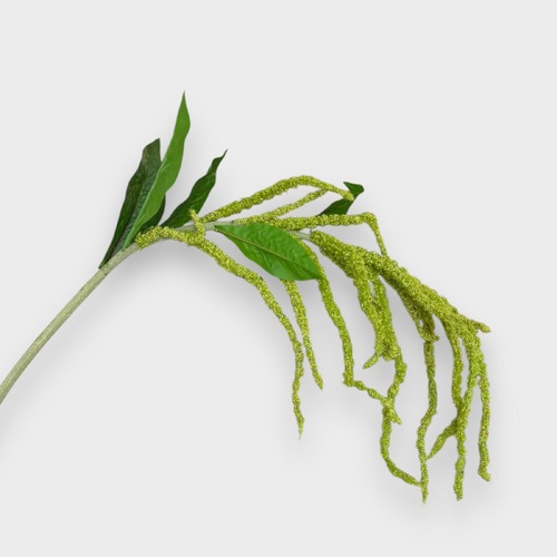 Amaranthus Spray GS277GN