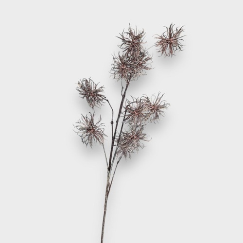 Wild Thistle Spray GS299DKBN