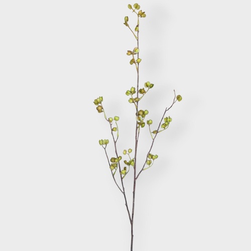 Elm Seeding Spray GSP076GN
