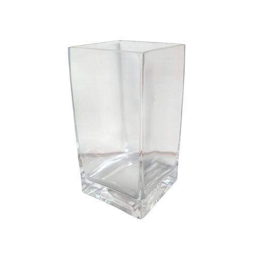 Glass Square Tank Vase GST2010