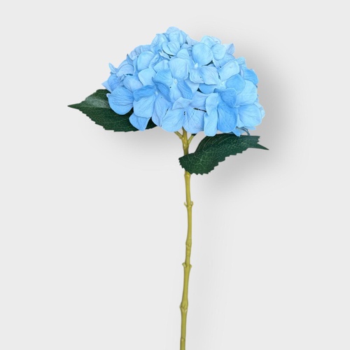 Hydrangea Stem H133LBLU