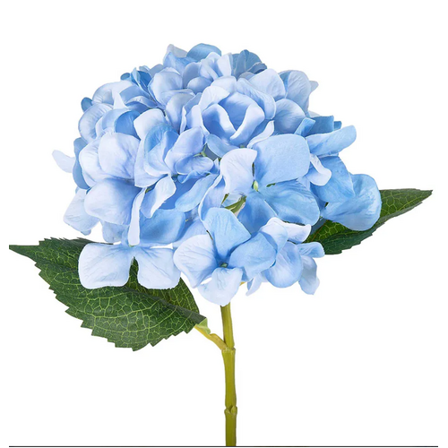 Hydrangea Stem H133LBLU