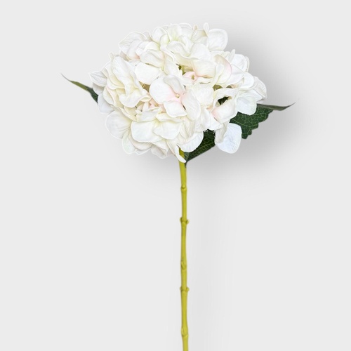 Hydrangea Stem H133W