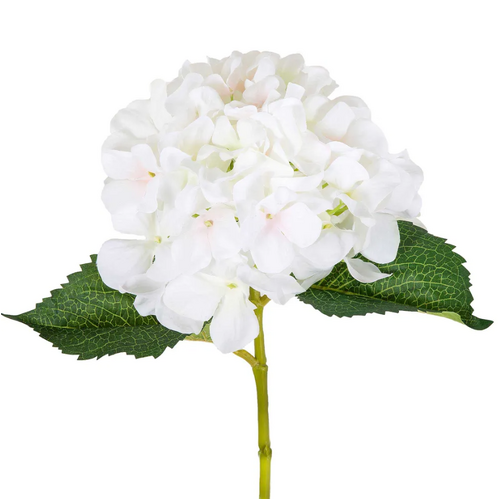 Hydrangea Stem H133W