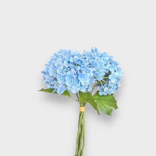 Mini Hydrangea Posy H155B