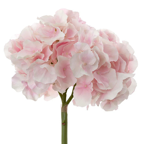 Large Hydrangea H94-LP