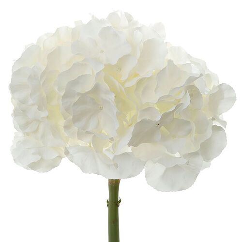 Large Hydrangea H94-WW