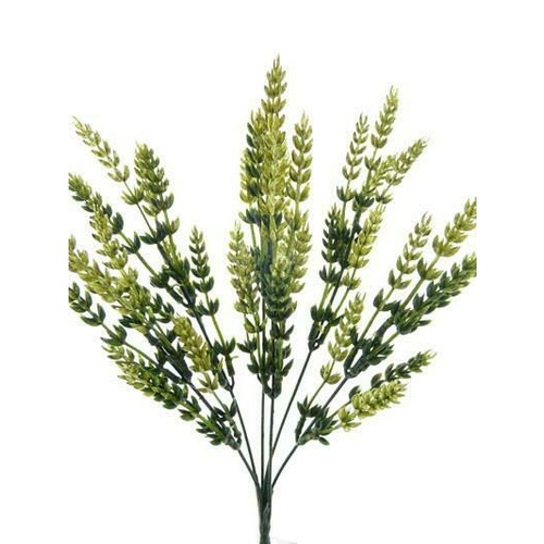 Wheat Ear Bush HF1050-GR