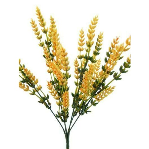 Wheat Ear Bush HF1050
