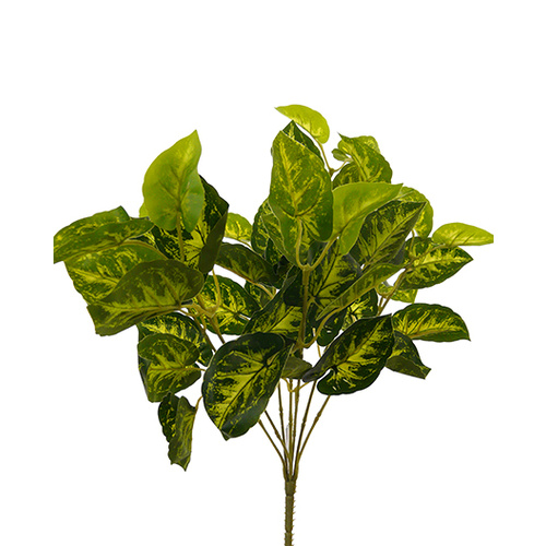 Variegated Plant Bush HF1203GRN