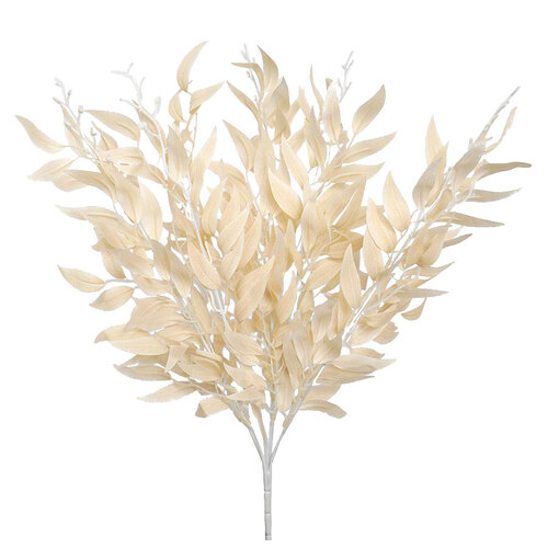 RUSCUS BUSH HF1217CHAM