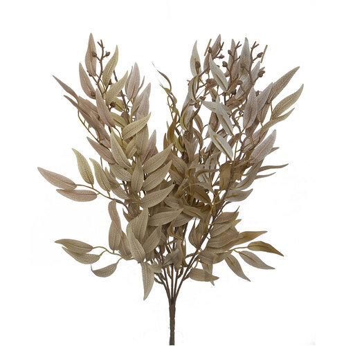RUSCUS BUSH HF1217L-BRN